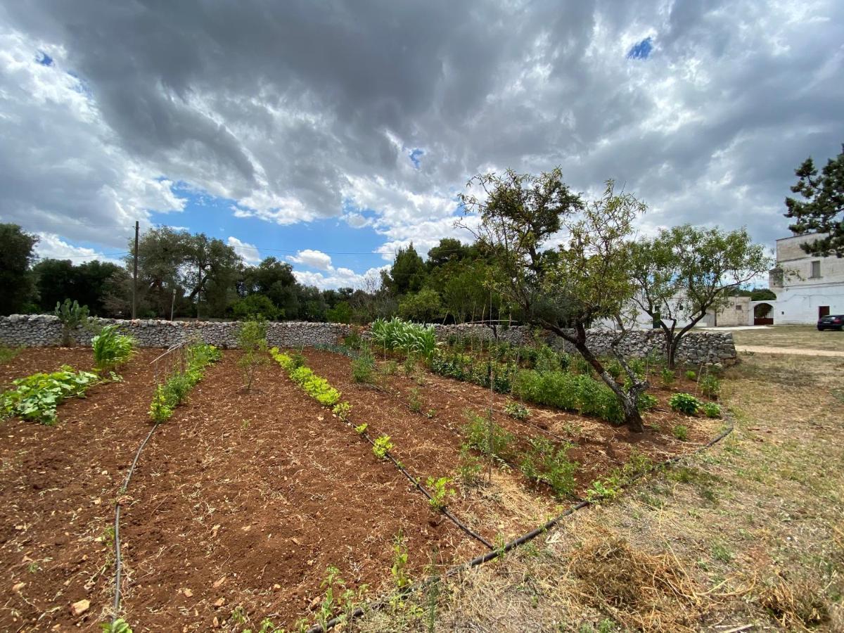 Appartamento Masseria Cervellera Ceglie Messapica Esterno foto
